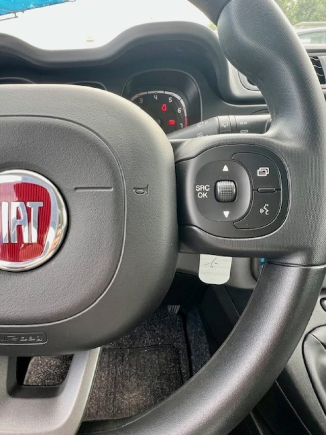 FIAT Panda usata, con Airbag testa