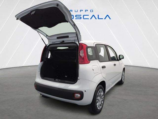 FIAT New Panda usata, con Volante multifunzione