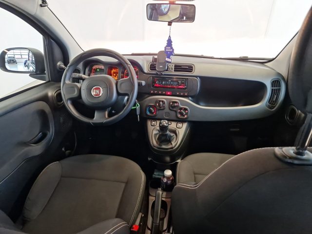 FIAT Panda usata 21