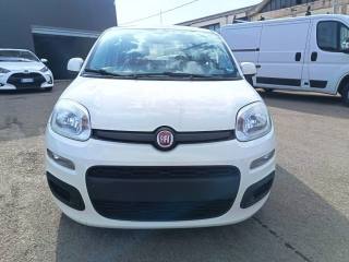 FIAT Panda usata 2