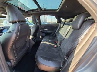 DS AUTOMOBILES DS 7 Crossback usata, con Chiusura centralizzata