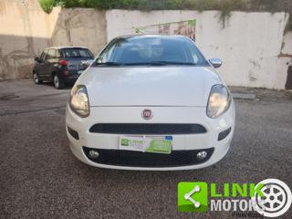 FIAT Punto usata 13