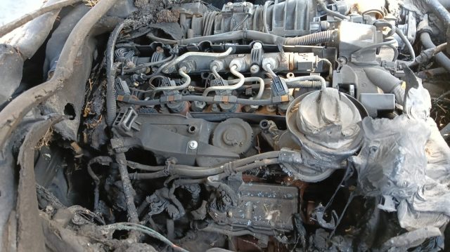 BMW 520 usata, con Controllo trazione