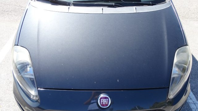 FIAT Punto usata 38