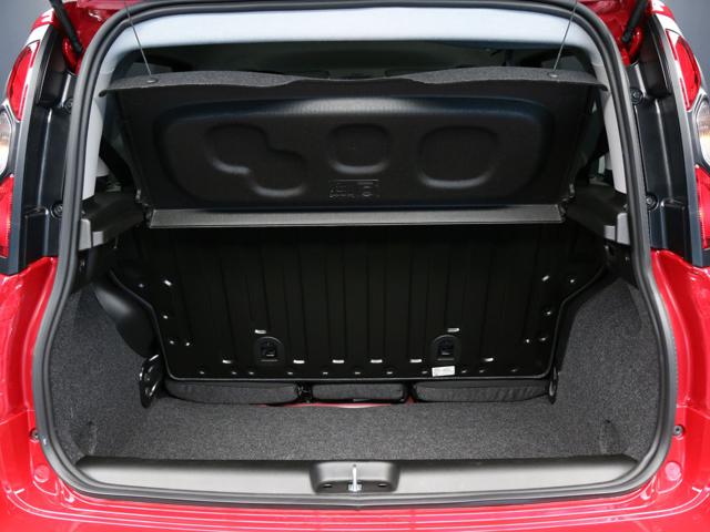 FIAT Panda Cross usata, con Chiusura centralizzata