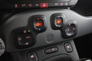 FIAT Panda usata 8