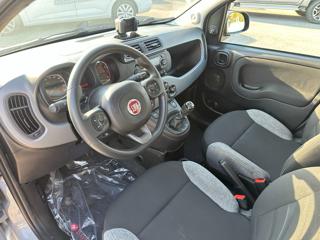 FIAT Panda usata, con Alzacristalli elettrici