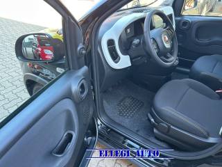 FIAT Pandina usata, con Sensori di parcheggio posteriori