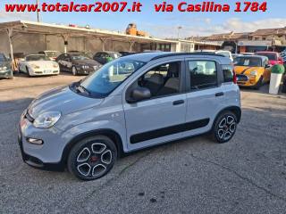 FIAT Panda usata, con Cronologia tagliandi