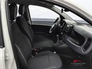 FIAT Panda usata 11