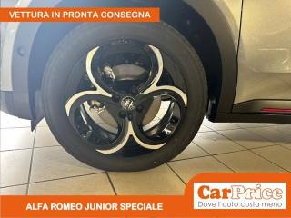 ALFA ROMEO Junior usata, con Bracciolo