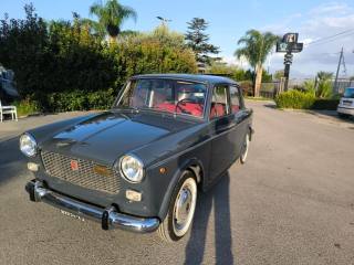 FIAT 1100 usata 2