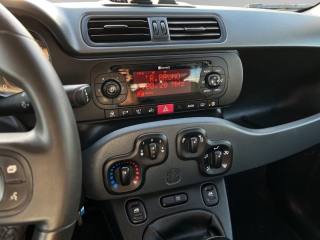 FIAT Panda usata 12