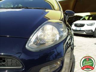 FIAT Punto usata, con Ski bag