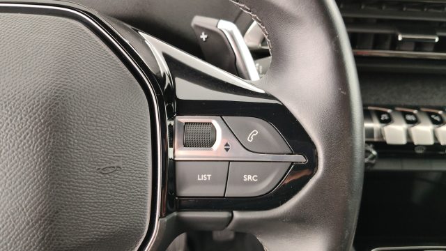 PEUGEOT 3008 usata 55