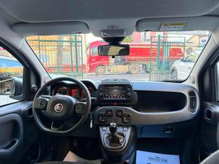 FIAT Panda Cross usata, con ESP
