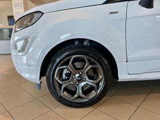 FORD EcoSport usata, con Fendinebbia