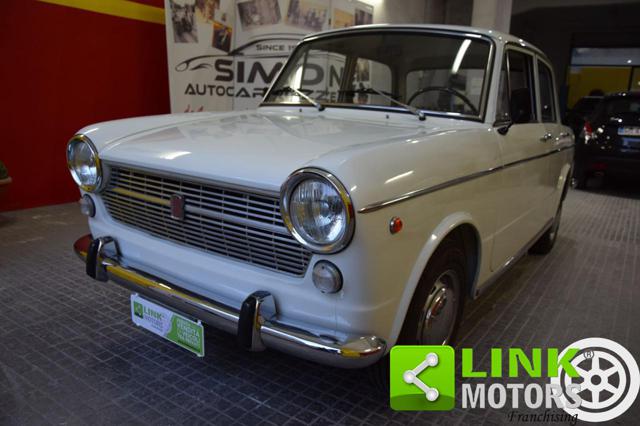 FIAT 1100 usata 16