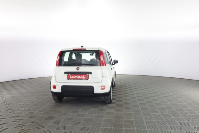 FIAT Panda usata 4