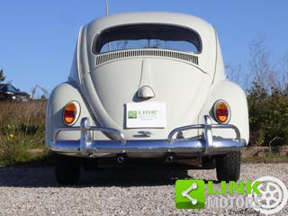 VOLKSWAGEN Maggiolino usata 5