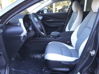 MAZDA CX-30 usata, con Interni in pelle