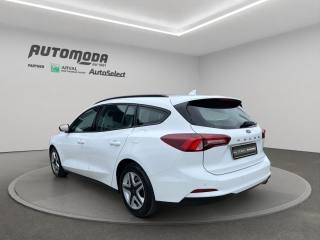 FORD Focus usata 5