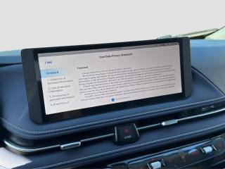 MAXUS Other usata 13