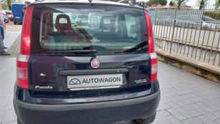 FIAT Panda usata, con Immobilizzatore elettronico