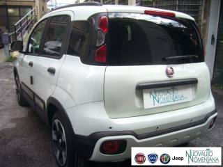 FIAT Panda Cross usata, con Immobilizzatore elettronico