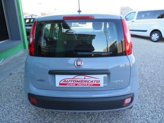FIAT Panda usata, con Climatizzatore