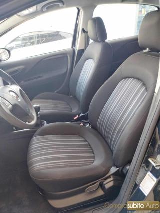 FIAT Grande Punto usata 8