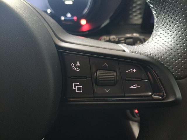 ALFA ROMEO Tonale usata, con Servosterzo