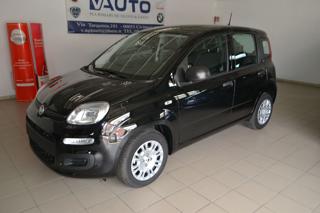 FIAT Panda usata, con Airbag Passeggero