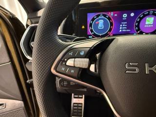 SKODA Kodiaq usata, con Climatizzatore