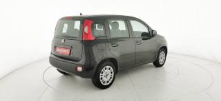 FIAT Panda usata 43