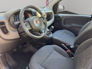 FIAT Panda usata, con Immobilizzatore elettronico