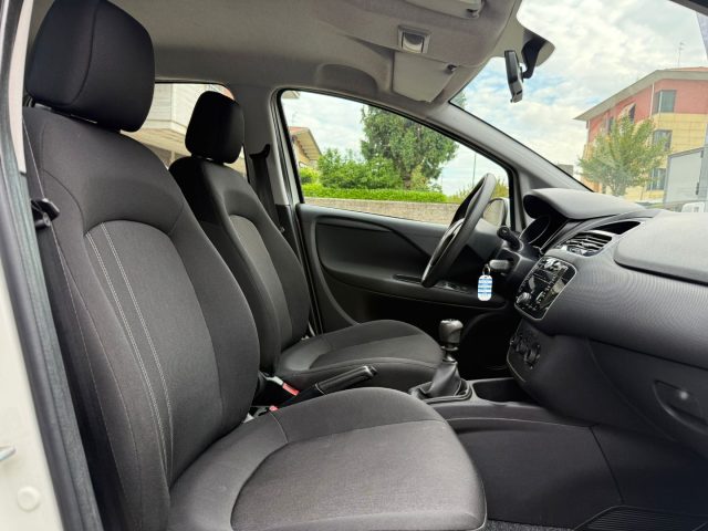 FIAT Punto usata 13