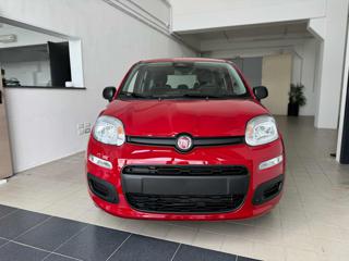 FIAT Panda usata, con Airbag