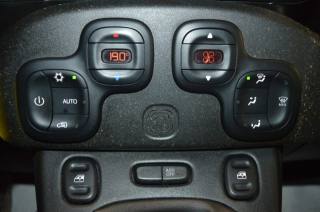 FIAT Panda Cross usata, con Volante multifunzione