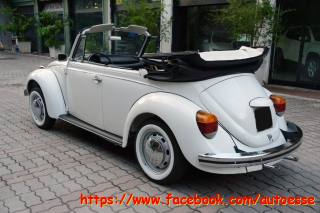 VOLKSWAGEN Maggiolone usata 7