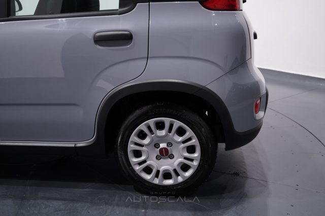 FIAT New Panda usata 26