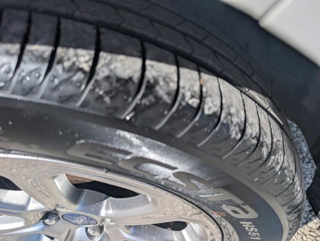 FORD EcoSport usata, con Park Distance Control