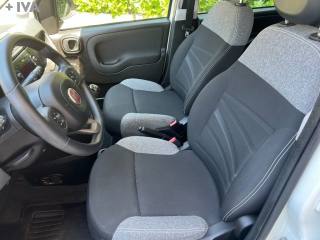 FIAT Panda usata 11