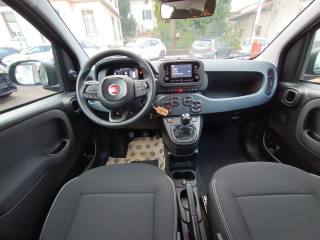 FIAT Panda usata, con Cruise Control