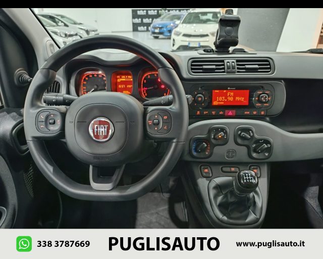 FIAT Panda Cross usata, con Climatizzatore