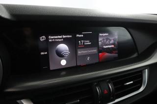 ALFA ROMEO Stelvio usata 10