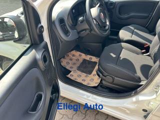 FIAT Panda usata, con Volante multifunzione