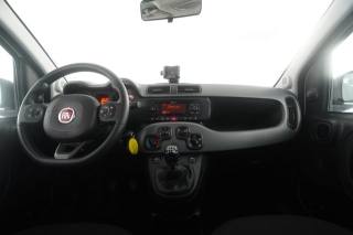 FIAT Panda usata 4