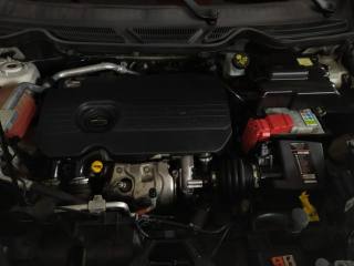 FORD EcoSport usata, con Fendinebbia