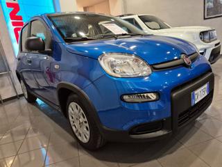 FIAT Panda usata, con Airbag Passeggero